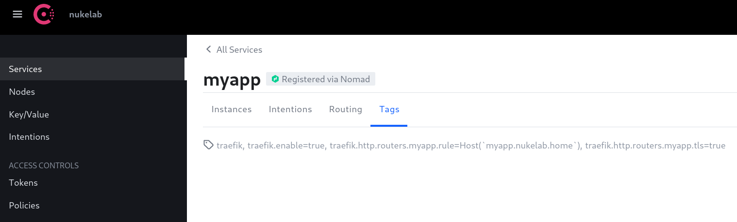 Tags in Consul